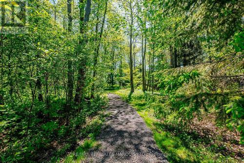 Path to shared waterfront lot - 6571 Tree Haven Road, South Glengarry, ON - Outdoor