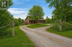 Grass and Foliage Enhanced by AI - 