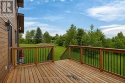 Grass and Foliage Enhanced by AI - 