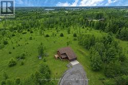 Grass and Foliage Enhanced by AI - 