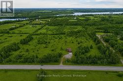 Grass and Foliage Enhanced by AI - 