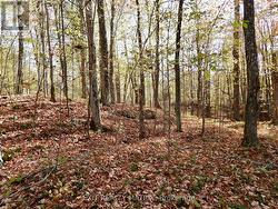 LOT 1 WOODLAND PARK DRIVE Frontenac (Frontenac Centre), ON K0H 1B0