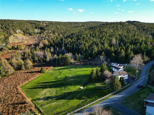 9 Gushue'S Road, Conception Harbour, NL - Outdoor With View