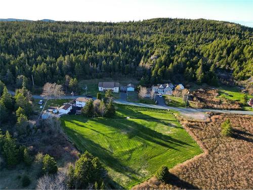 9 Gushue'S Road, Conception Harbour, NL - Outdoor With View