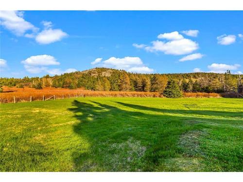 9 Gushue'S Road, Conception Harbour, NL - Outdoor With View