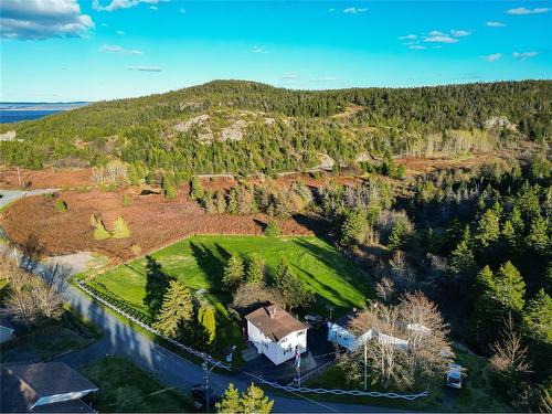 9 Gushue'S Road, Conception Harbour, NL - Outdoor With Body Of Water With View