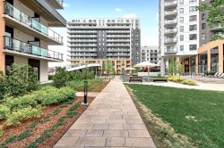 Garden - 