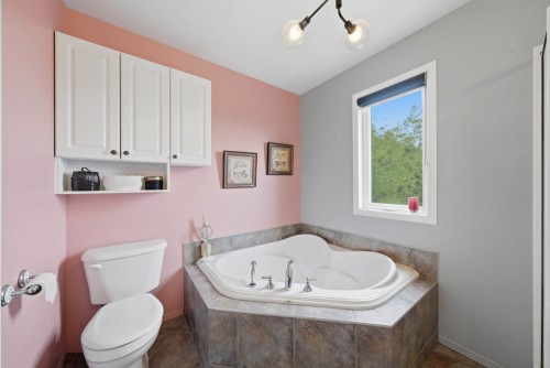 Bathroom - 825 Carré Jean-Pierre-Beaudry, Acton Vale, QC - Indoor Photo Showing Bathroom
