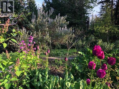 4108 Highway 101, Powell River, BC - Outdoor