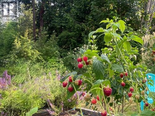 4108 Highway 101, Powell River, BC - Outdoor