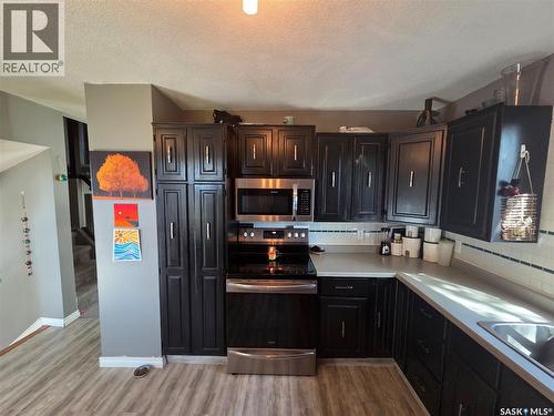 204 1St Street E, Carlyle, SK - Indoor Photo Showing Kitchen
