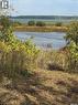 313 Ravine Road, Big Shell, SK 