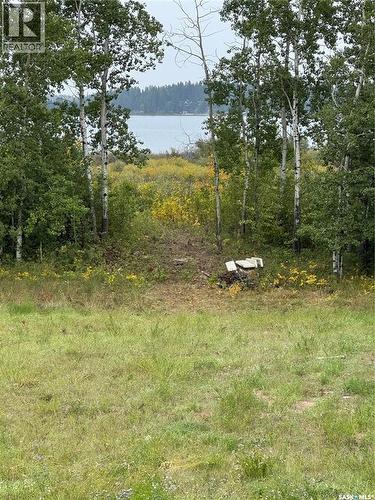 313 Ravine Road, Big Shell, SK 