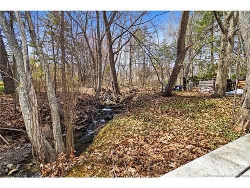 19 Forest Acres Crt, Fredericton, NB 