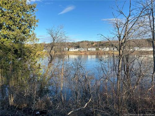 20 Chester, Wicklow, NB 