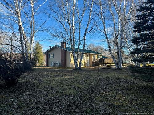 20 Chester, Wicklow, NB 