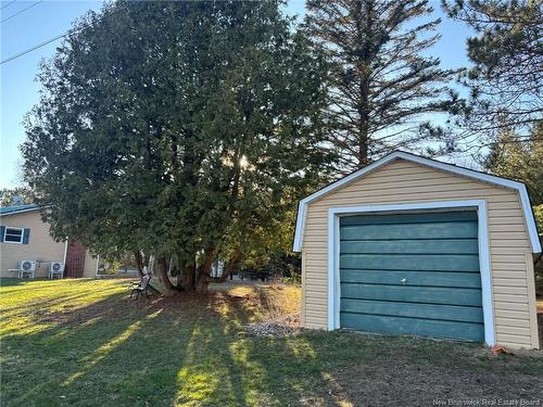 20 Chester, Wicklow, NB 