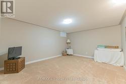 Recreation Room - 