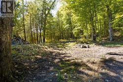1.3 acres consist of two legal lots, with surveys - 