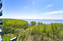 View - 