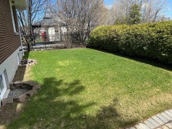 Courtyard - 