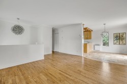 Salon - 