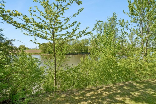 Courtyard - 1133 Boul. De L'Assomption, Repentigny (Repentigny), QC - Outdoor With View