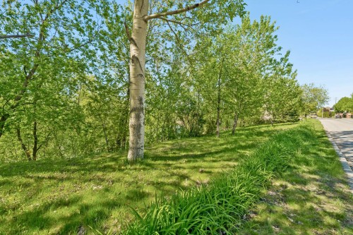 Courtyard - 1133 Boul. De L'Assomption, Repentigny (Repentigny), QC - Outdoor