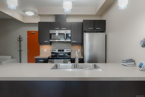 #206-5822 Garden St, Duncan, BC - Indoor Photo Showing Kitchen With Double Sink With Upgraded Kitchen