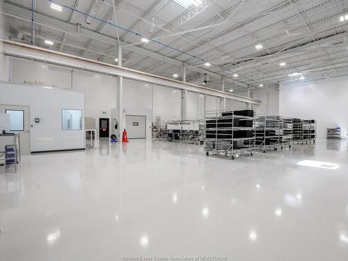 2516 Binder Crescent, Tecumseh, ON 