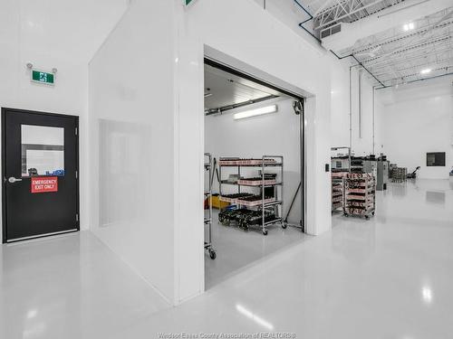 2516 Binder Crescent, Tecumseh, ON 