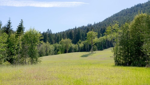 3775 Mountain Rd, Duncan, BC 