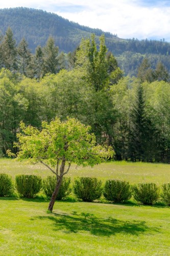 3775 Mountain Rd, Duncan, BC 