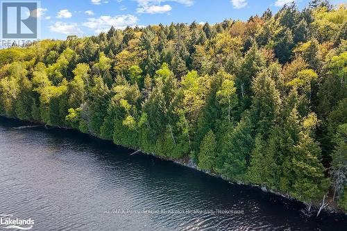 1 Salway Lane, Mckellar, ON 