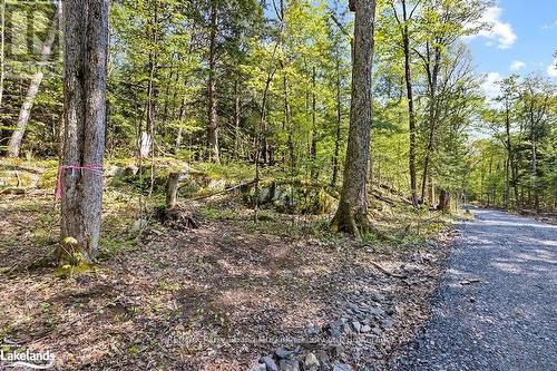 1 Salway Lane, Mckellar, ON 