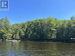 4 - 1254 BARLOCHAN ROAD  Muskoka Lakes (Wood (Muskoka Lakes)), ON P1P 1R2