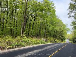 CON 1 PT LOT 12 BARLOCHAN ROAD Muskoka Lakes (Wood (Muskoka Lakes)), ON P1P 1R2