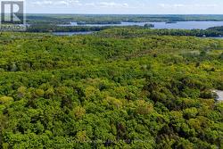 CON 1 PT LOT 12 BARLOCHAN ROAD Muskoka Lakes (Wood (Muskoka Lakes)), ON P1P 1R2