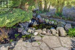 Pond - 