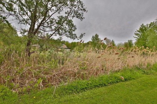 Terre/Terrain - 45E Avenue, Sainte-Barbe, QC 