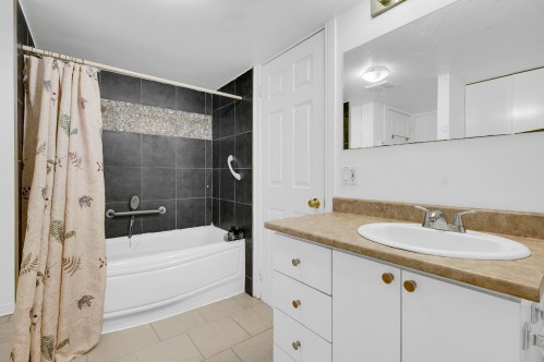 Logement - 38  - 38A Rue Lapointe, Saint-Lin/Laurentides, QC - Indoor Photo Showing Bathroom
