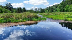 220 Sea Meadow Dr Gabriola Island, BC V0R 1X2