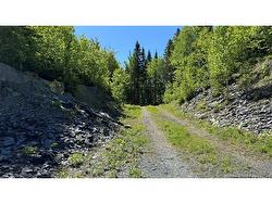 62 De la Falaise ST Edmundston, NB E3V 0A7