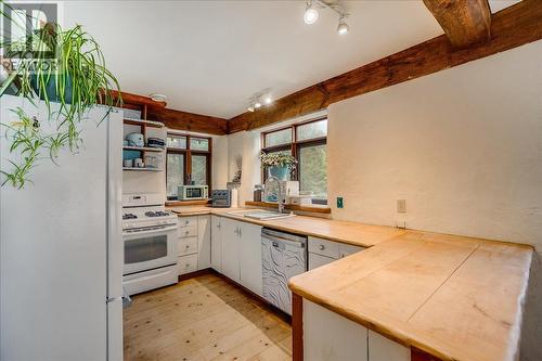 Main house kitchen - 3918 Passmore Upper Road, Passmore, BC - Indoor Photo Showing Kitchen
