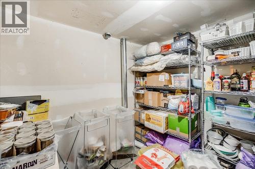 Main house basement cold room/storage - 3918 Passmore Upper Road, Passmore, BC - Indoor