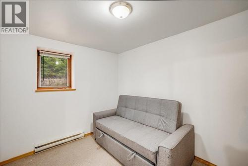 Main house basement bedroom - 3918 Passmore Upper Road, Passmore, BC - Indoor Photo Showing Other Room