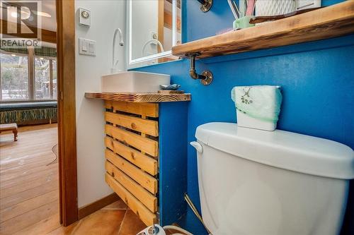Main house 1st floor bathroom - 3918 Passmore Upper Road, Passmore, BC - Indoor