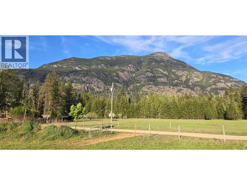 View - 3918 Passmore Upper Road, Passmore, BC - Outdoor With View