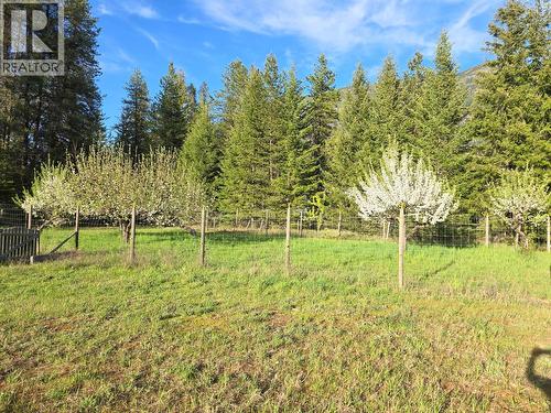 Apple orchard - 3918 Passmore Upper Road, Passmore, BC - Outdoor With View