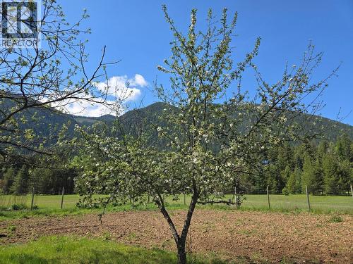 Apple tree and garden - 3918 Passmore Upper Road, Passmore, BC - Outdoor With View